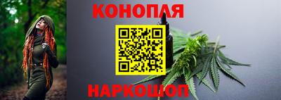 гидра Свободный