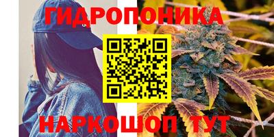 ПСИЛОЦИБИНОВЫЕ ГРИБЫ Северобайкальск