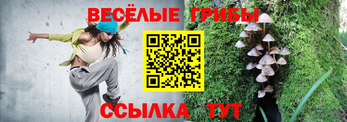 Новодвинск  Галлюциногенные грибы MAGIC MUSHROOMS  Вход с VPN 