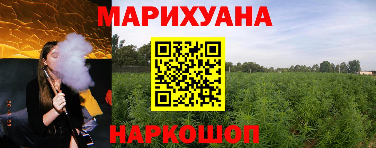 Каннабис Bruce Banner Новодвинск